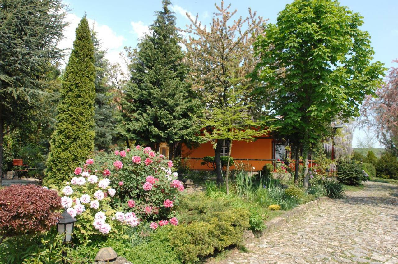 Garten Vendeghaz Eger